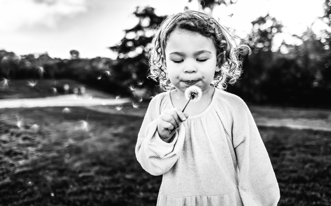 Minimalism: The Art of Simplifying Your Life