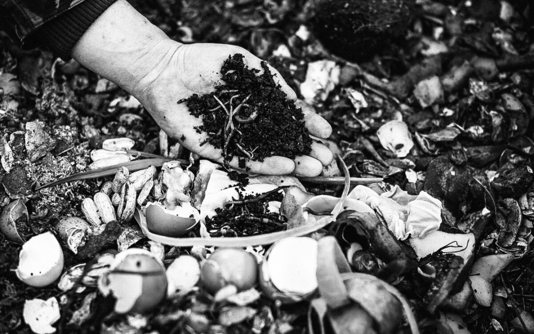 Compost | Gross? Perhaps. Pure Magic? Yes.