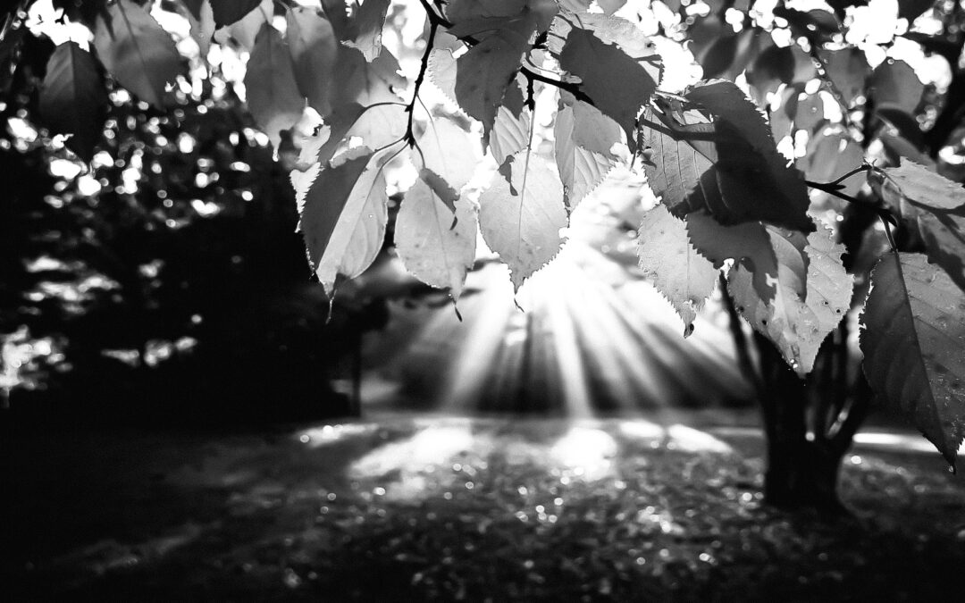 The Magic of the Autumn Solstice
