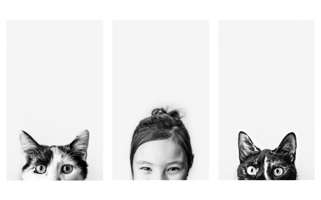 Unconditional Companionship: Cats