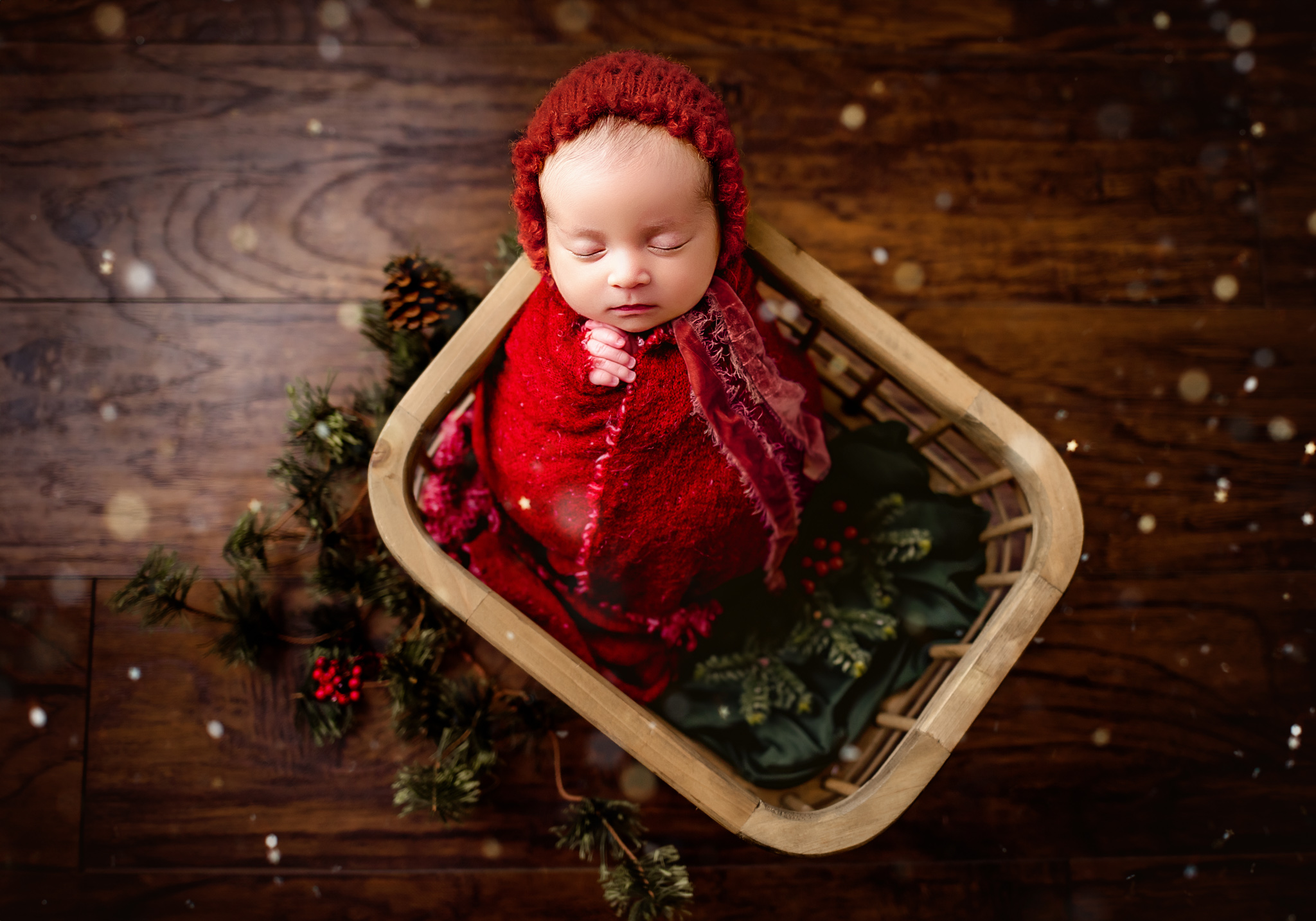 fine art newborn christmas fine art newborn Christmas sessions